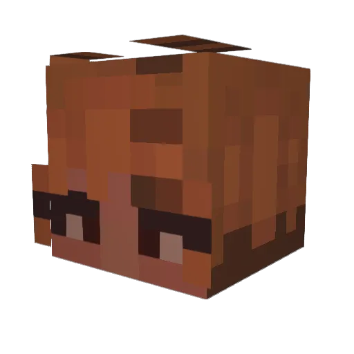 leeaaff Minecraft avatar head, 3D render