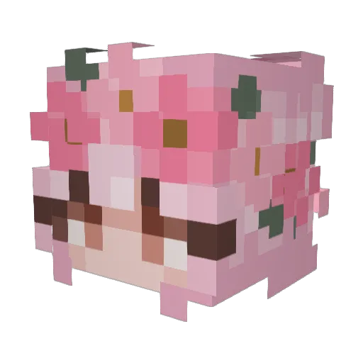 leean0911 Minecraft avatar head, 3D render