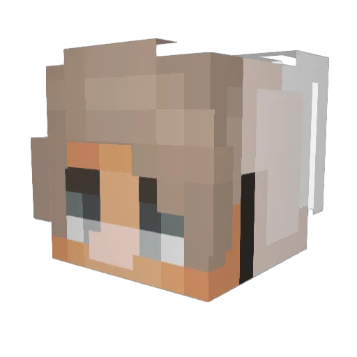 leechul9 Minecraft avatar head, 3D render