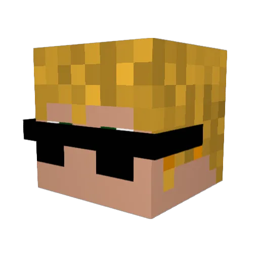 leechy9 Minecraft avatar head, 3D render
