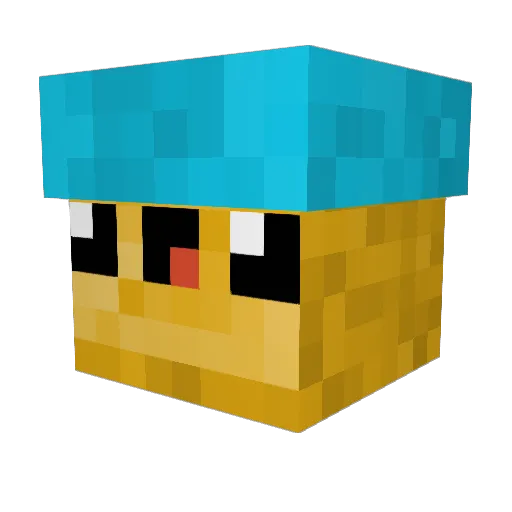 leecrunchy Minecraft avatar head, 3D render