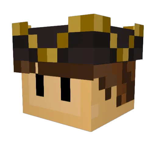 leee00 Minecraft avatar head, 3D render