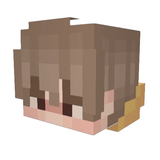leeeebear Minecraft avatar head, 3D render