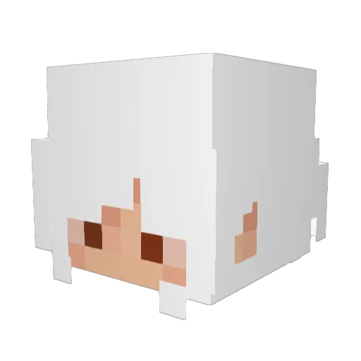 leeeeems Minecraft avatar head, 3D render
