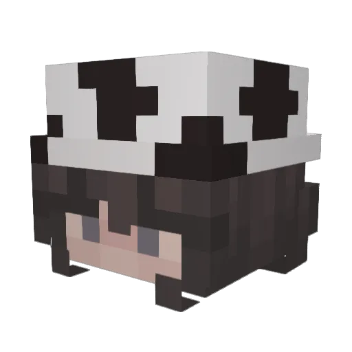 leees23 Minecraft avatar head, 3D render