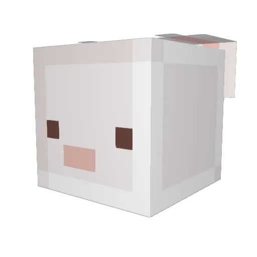 leeeyuh Minecraft avatar head, 3D render