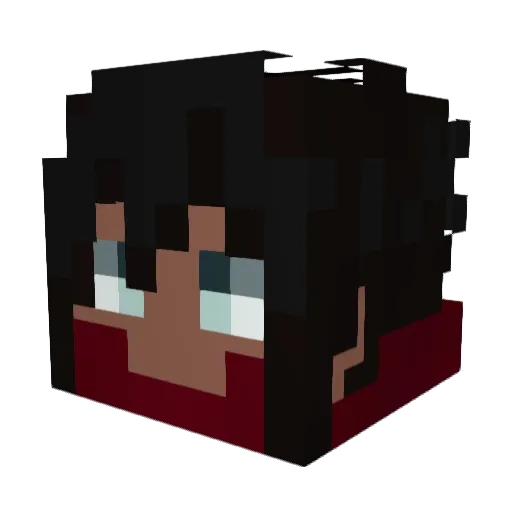 leefoxer Minecraft avatar head, 3D render