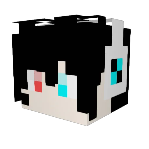 leeft2023 Minecraft avatar head, 3D render