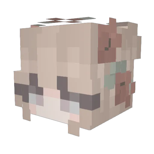 leeftost Minecraft avatar head, 3D render