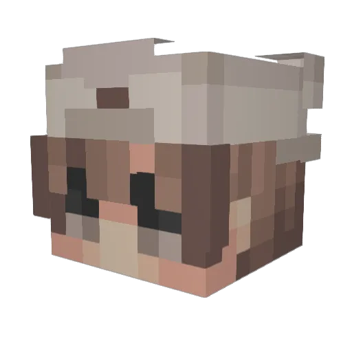 leegaon Minecraft avatar head, 3D render