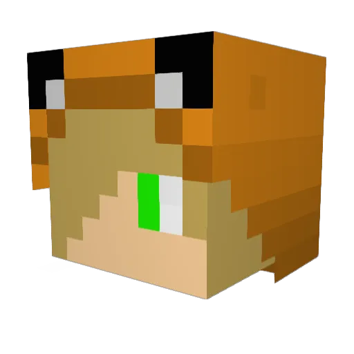 leegimun Minecraft avatar head, 3D render