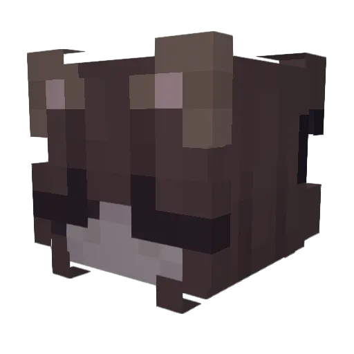 leegrac3 Minecraft avatar head, 3D render