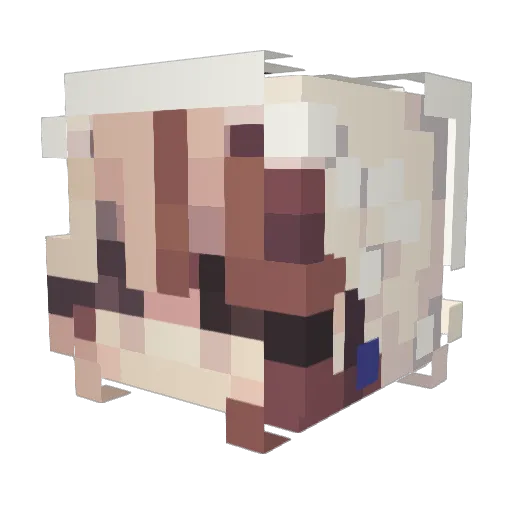 leehansgf Minecraft avatar head, 3D render