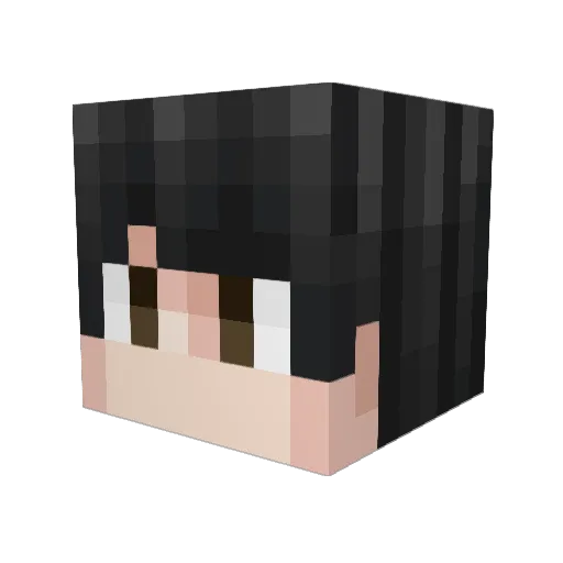 leejaaree Minecraft avatar head, 3D render