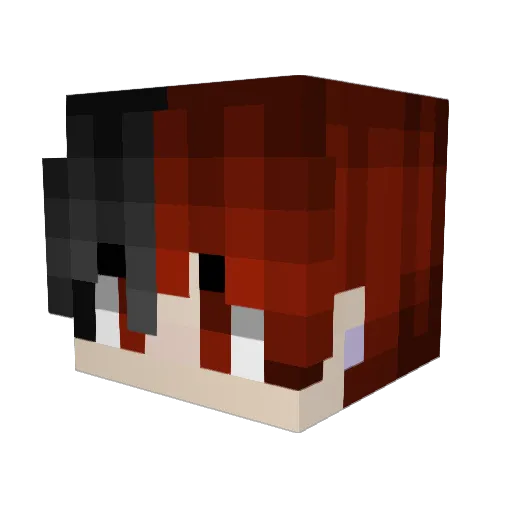 leejh0224 Minecraft avatar head, 3D render