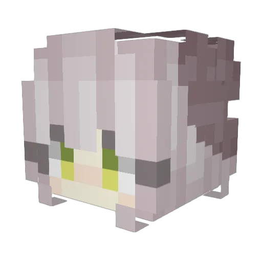 leejiyun_ Minecraft avatar head, 3D render