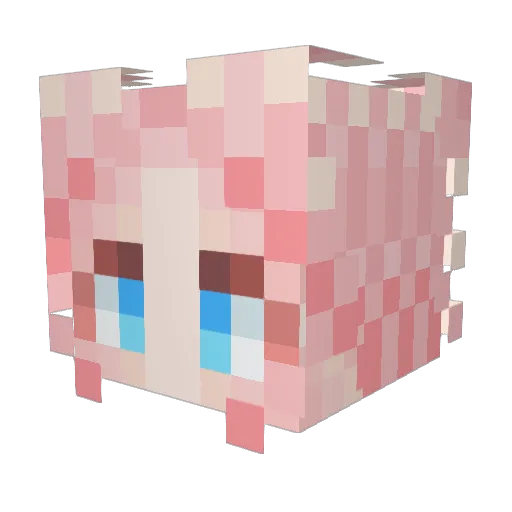 leejuhee1126 Minecraft avatar head, 3D render