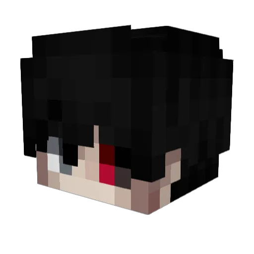 leejuyoung0 Minecraft avatar head, 3D render