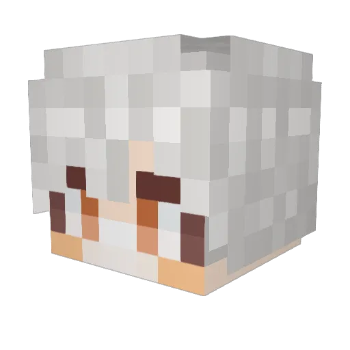 leejw97e Minecraft avatar head, 3D render