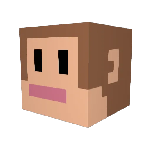 leeksia Minecraft avatar head, 3D render
