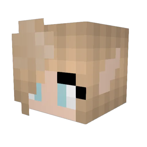 leeliedje Minecraft avatar head, 3D render