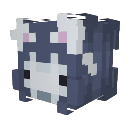 leendog5000 Minecraft avatar head, 3D render