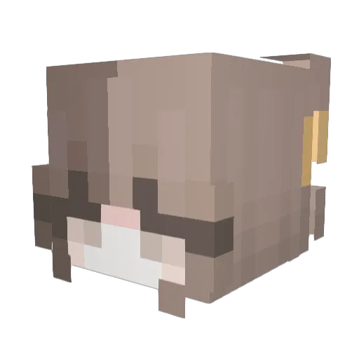 leenhx Minecraft avatar head, 3D render