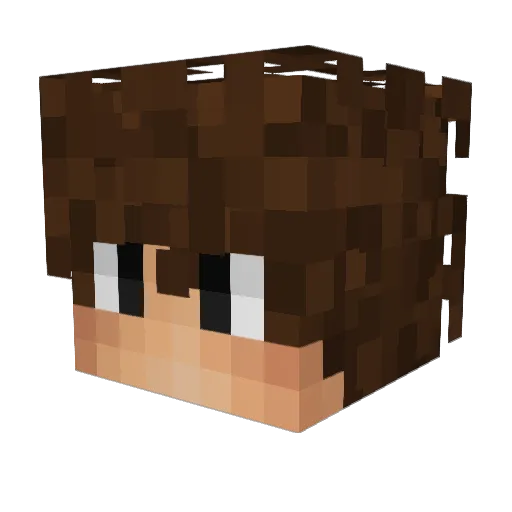 leerqy Minecraft avatar head, 3D render