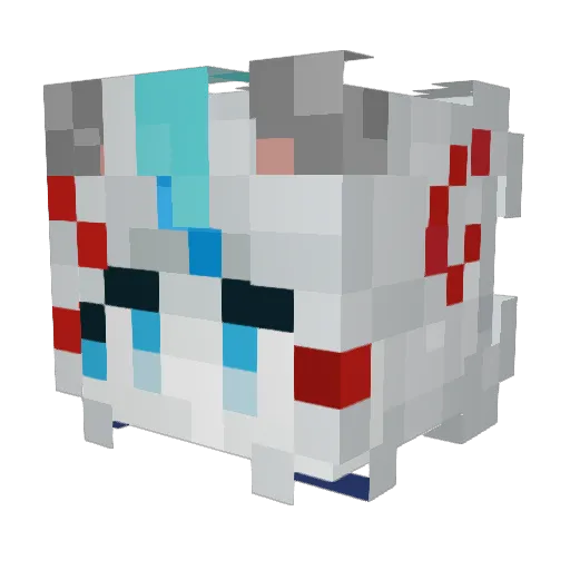 leerye2227 Minecraft avatar head, 3D render
