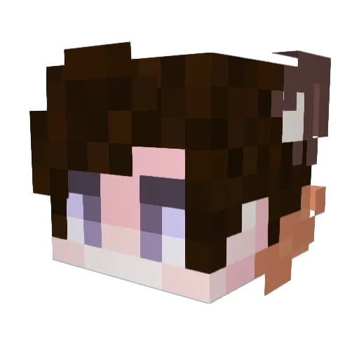 lees2541 Minecraft avatar head, 3D render