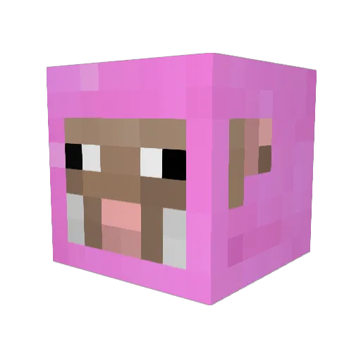leesboys Minecraft avatar head, 3D render