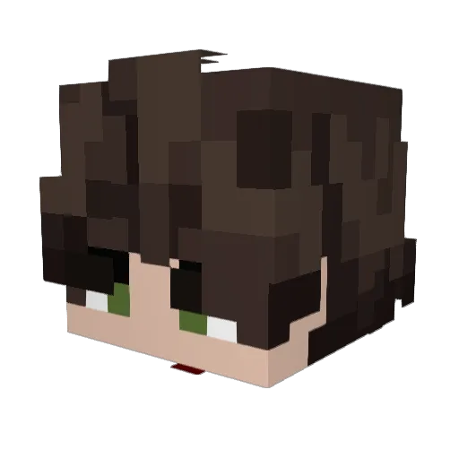 leesunwoo86 Minecraft avatar head, 3D render