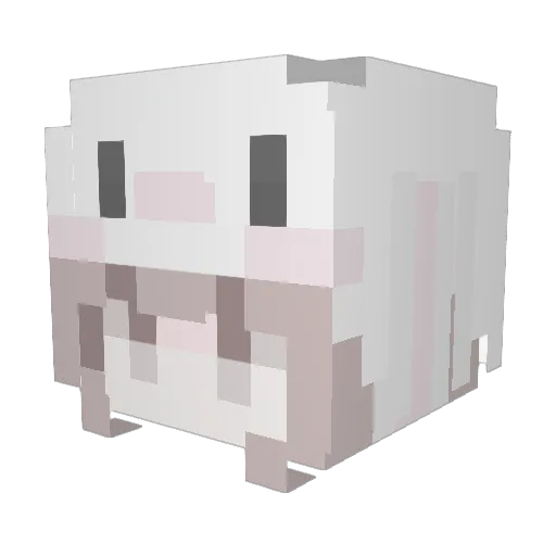 leethacker1337 Minecraft avatar head, 3D render