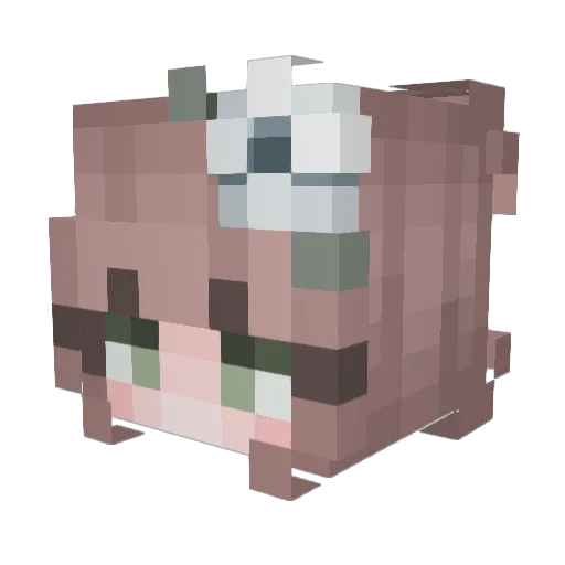 leevoonseo Minecraft avatar head, 3D render
