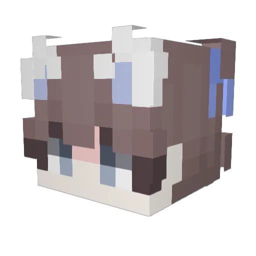 leeyh980 Minecraft avatar head, 3D render
