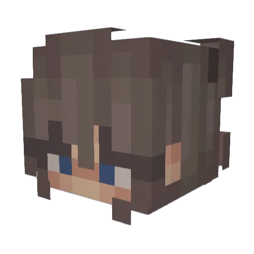 leez1337mc Minecraft avatar head, 3D render