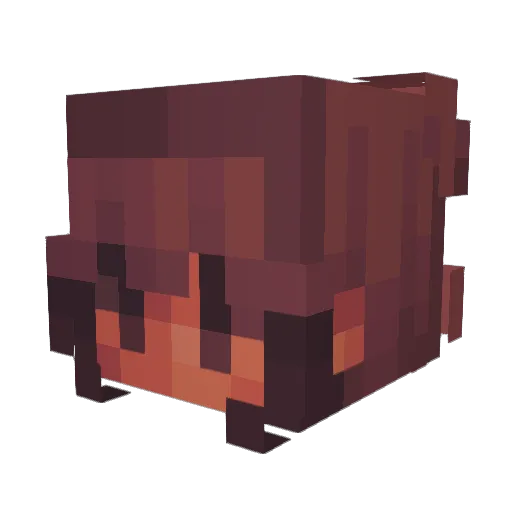leezuuhh Minecraft avatar head, 3D render