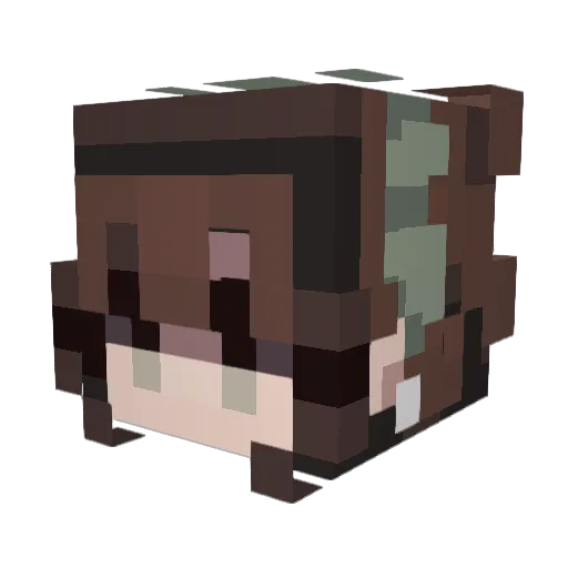 leffewaustinjr Minecraft avatar head, 3D render