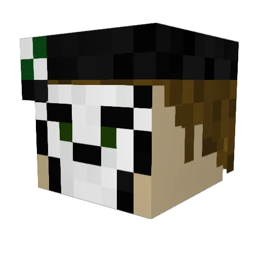 left4rom Minecraft avatar head, 3D render