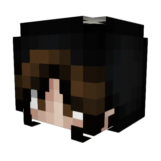 left4soulz Minecraft avatar head, 3D render