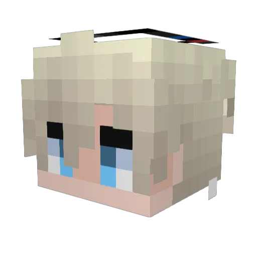 lefty4649 Minecraft avatar head, 3D render
