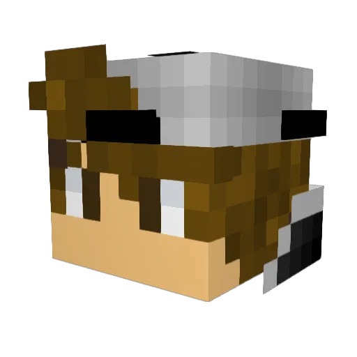 legandmaster21 Minecraft avatar head, 3D render