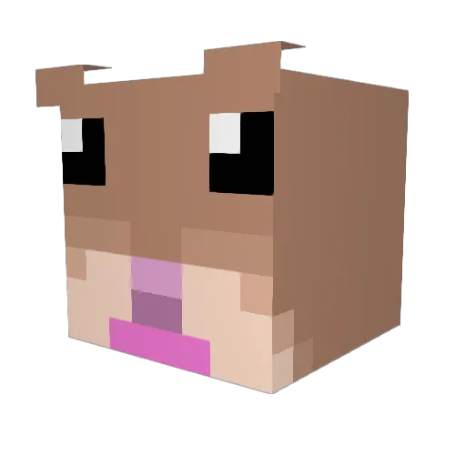 leggums Minecraft avatar head, 3D render