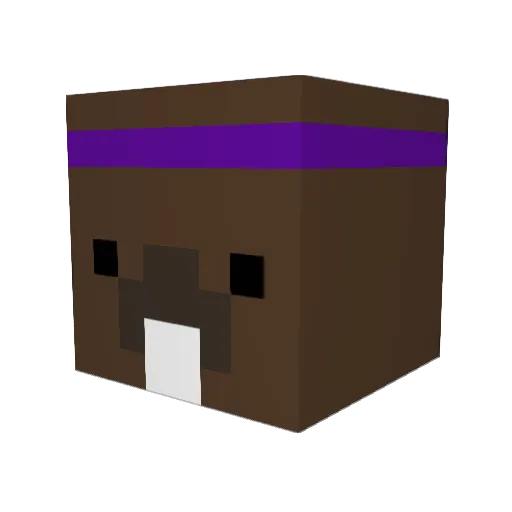 legocreeper3 Minecraft avatar head, 3D render