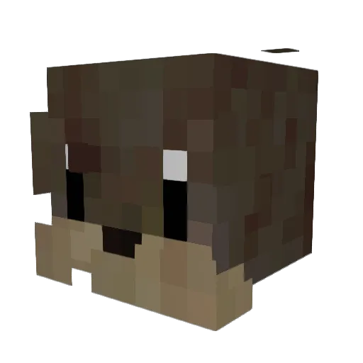 lei_sd Minecraft avatar head, 3D render