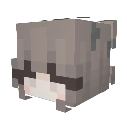leiaskywalker09 Minecraft avatar head, 3D render