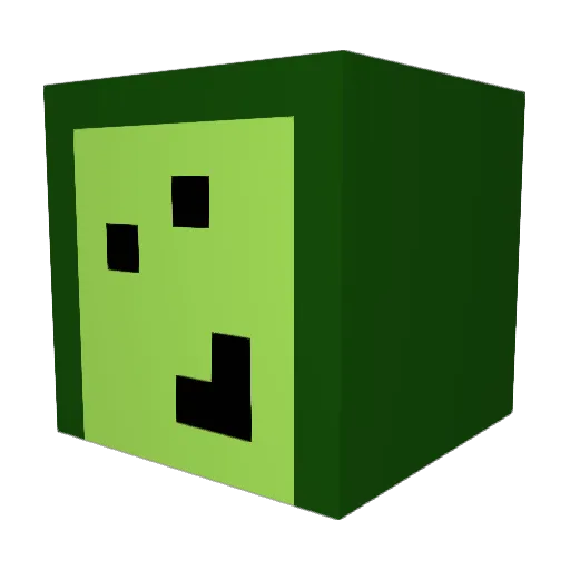 leibron Minecraft avatar head, 3D render