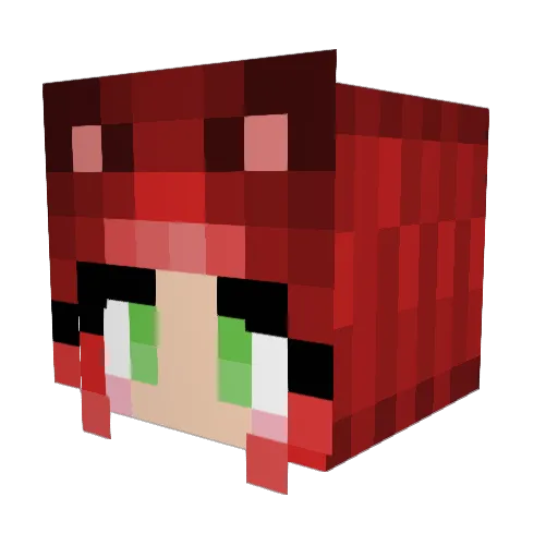 leichtgemerkt Minecraft avatar head, 3D render