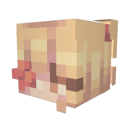 leicnez Minecraft avatar head, 3D render