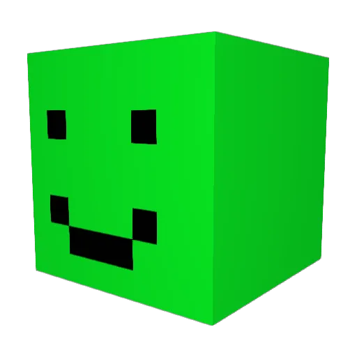 leiderkeingeld Minecraft avatar head, 3D render